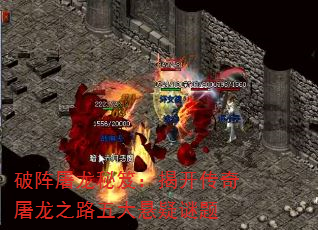 ţҿ֮·
