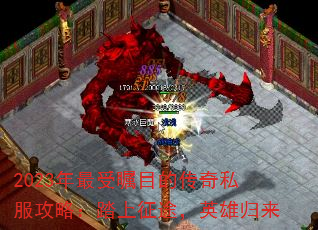 2023ĿĴ˽ԣ̤;Ӣ۹