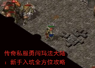 ˽´귨½ȫλ