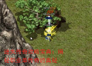ʧ湥Ա䣺ְҵİ