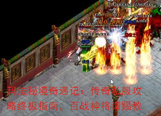 귨ؾǣ˽ռָϣսͽ
