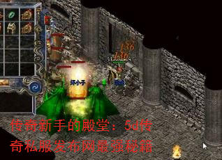 ֵĵã5d˽ǿؼ