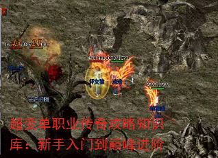 䵥ְҵ湥֪ʶ⣺ŵ۷