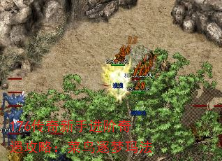 176ֽԣ귨