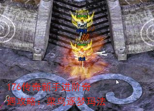176ֽԣ귨