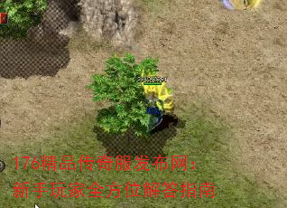 176Ʒȫλָ