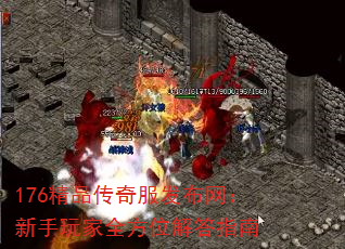 176Ʒȫλָ