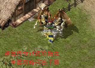 sfָϣȫ湥ʴֲ