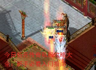¿˽Դȫֱؿָ