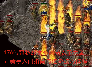 176˽վԴȫָ׼