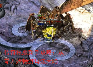 ˽ֹԣ㿪ʼ귨½