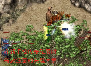 Ҵ˽ʱҪעĹؼ