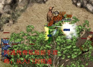 ͨ˽ֹԣŵͨ