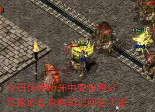 մ¿б䴫sfұر֪ʶʴֲ