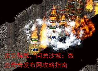 ǿУʶɳǣ΢䴫淢ָ
