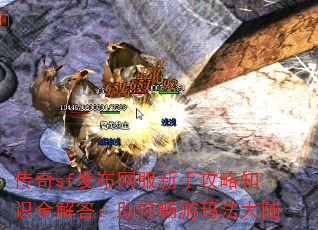 sfֹ֪ʶȫ㳩귨½