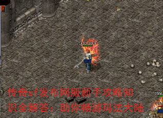 sfֹ֪ʶȫ㳩귨½