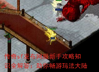sfֹ֪ʶȫ㳩귨½