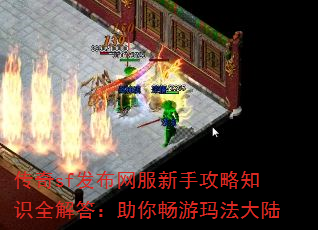 sfֹ֪ʶȫ㳩귨½