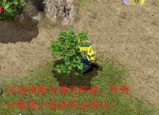 35ټsfˢ֮·úȥδӣ