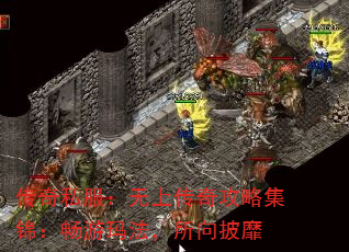 ˽ϴ湥Լ귨