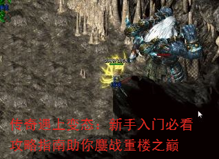 ϱ̬űؿָս¥֮