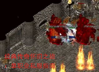 䴫滳֮ãְҵ˽ָ