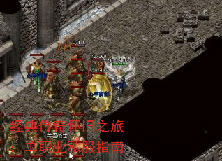 䴫滳֮ãְҵ˽ָ