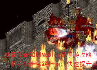 λش˽Mobileιԣ·ָϣʵ