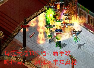귨½3Dָֹϣһδ֪