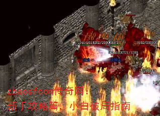 zhaosfcomֹƪСƾָ