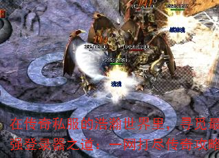 ڴ˽ĺѰǿ¼֮һ򾡴湥