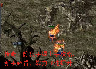 棺ֹԣֱؿս