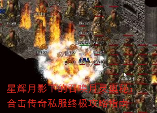 ǻӰµٻأϻ˽ռָ