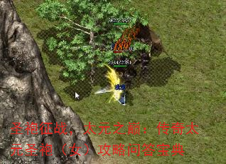 ʥս̫Ԫۣ̫֮ԪʥۣŮʴ𱦵