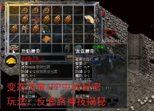 ̬APPе淨·񼼽