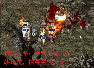 ֮·֮أս귨̽ѰԼ֮