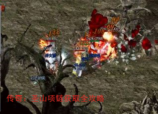 棺ʥɽȡȫ