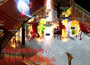 59ȼ棺Ѱҵʦռָ