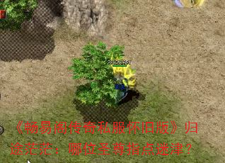 ׸˽ɰ桷;ããλʥָԽ