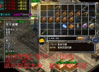 XX桷ָϣС׵񣬳ȫʴ