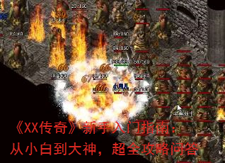 XX桷ָϣС׵񣬳ȫʴ