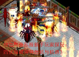 Ѫ˽̽أķغΣ