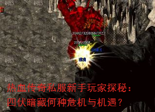 Ѫ˽̽أķغΣ