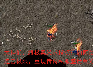 ǣռָ㣺̤ޣִ˽ʢٹ