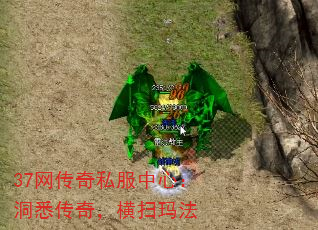 37˽ģϤ棬ɨ귨