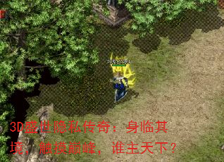 3Dʢ˽棺侳۷壬˭£