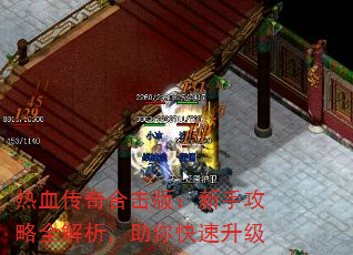 Ѫϻ棺ֹȫ