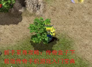 ԣذ洫ֻϷű