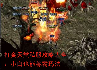 ˽ԴȫСҲܳư귨